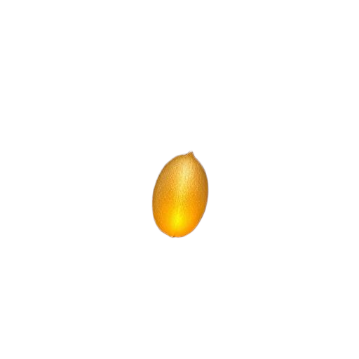 Golden seed